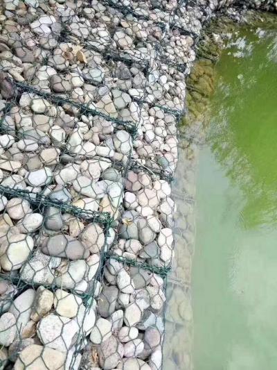 索縣塗塑雷諾護墊
